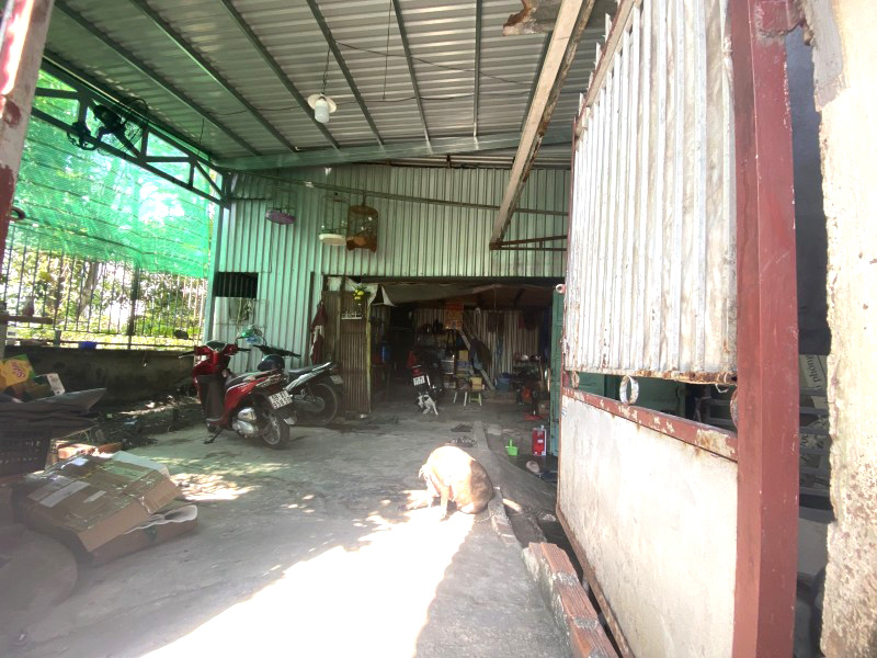 Ngộp Bank giảm Sốc 2.3 tỷ Bán Gấp Nhà 160m2_8*20 Lã Xuân Oai Tăng Nhơn Phú A Chỉ 5.5 tỷ Siêu Rẻ - Ảnh 3